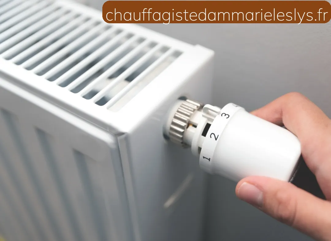 Remplacement de Thermostat Dammarie-les-Lys